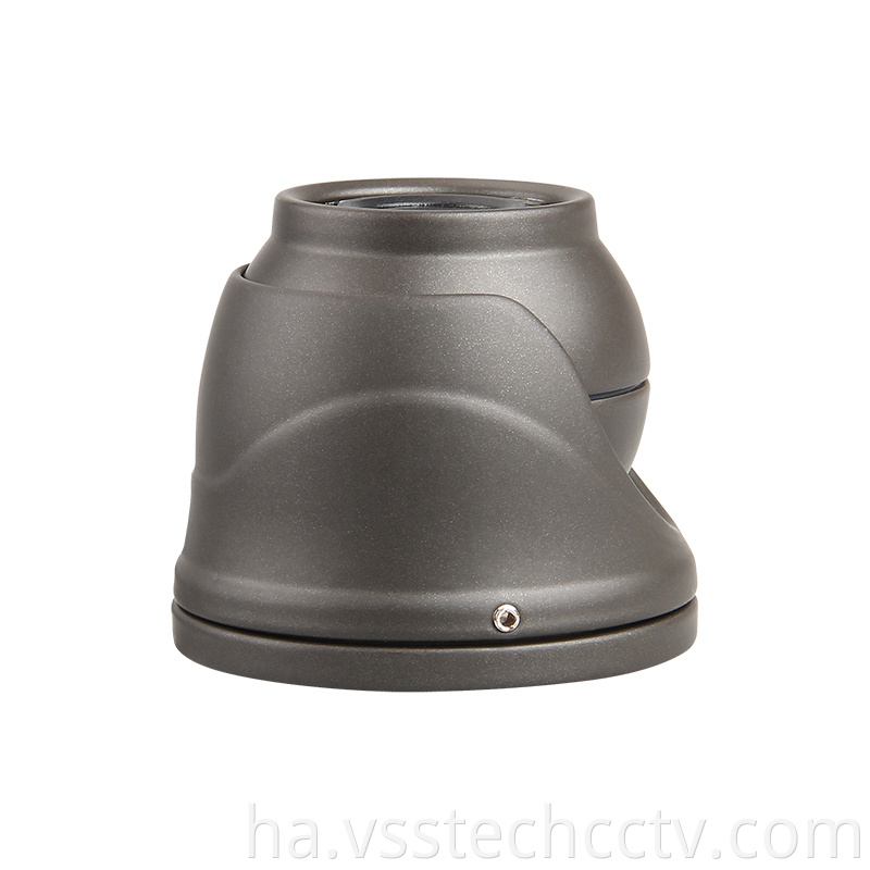 HD Video Audio Surveillance